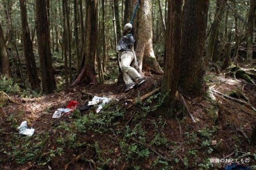 Aokigahara-forest-of-suicides-015